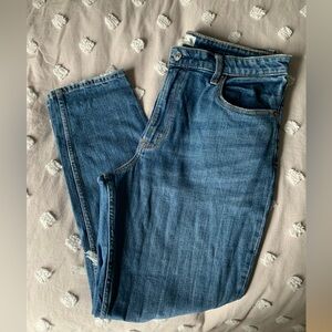 Curve Love High Rise Skinny Jeans